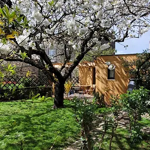La Maisonnette Sous Le Cerisier Chalet Bergonne