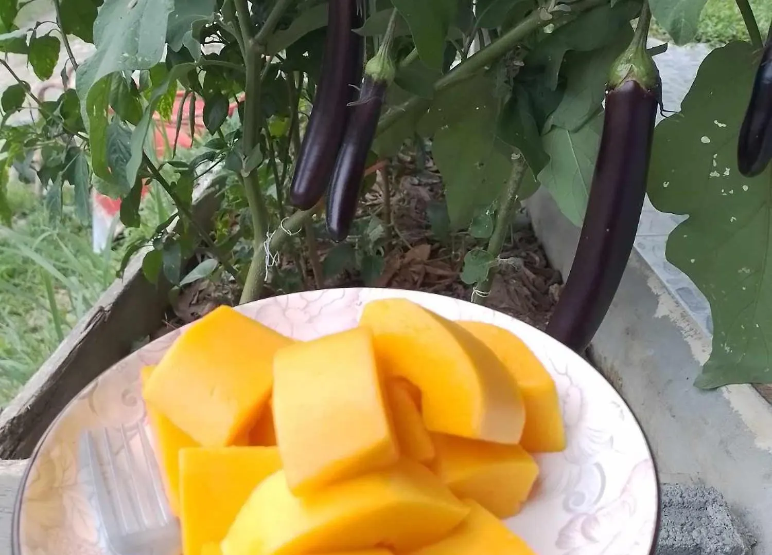 Casa vacanze Villa Baanphong Lanta Ko Lanta